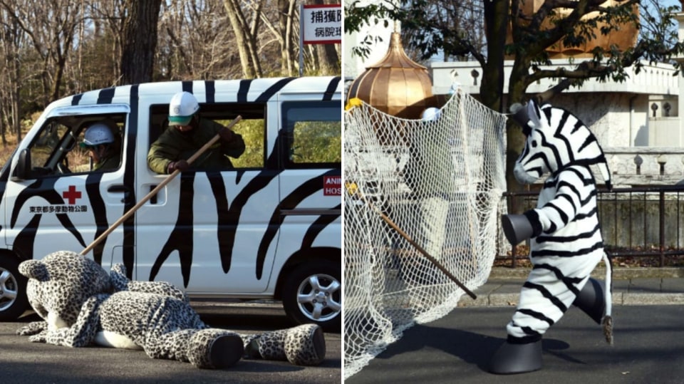 Plyšové cvičení v japonské ZOO